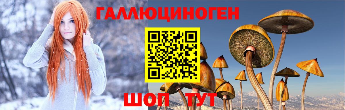 Псилоцибиновые грибы Psilocybe  Галлюциногенные грибы мицелий  Кстово  Вход с VPN 